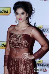 61st Filmfare Awards 2013